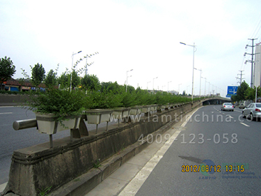 高架橋花盆