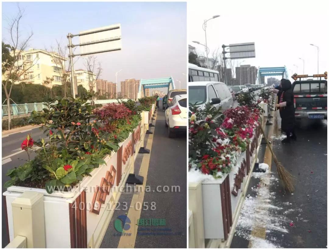 上海街道的水墨丹青藝術(shù)花箱